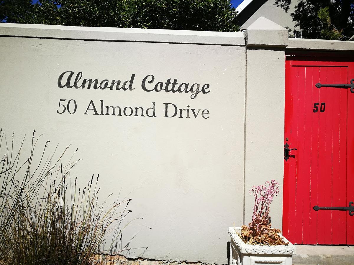 Almond Cottage Bed & Breakfast Somerset West Ngoại thất bức ảnh