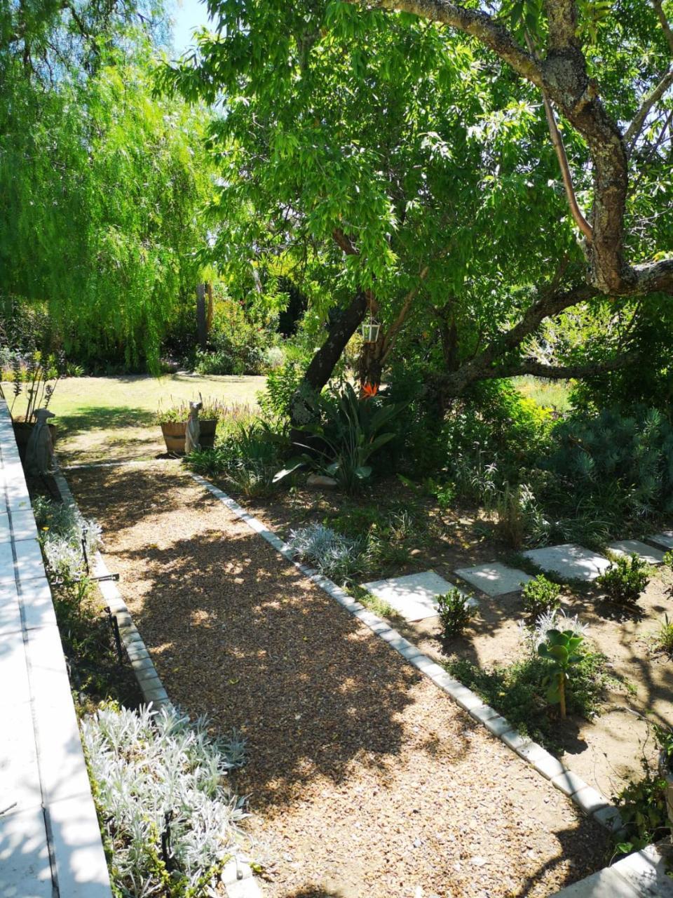 Almond Cottage Bed & Breakfast Somerset West Ngoại thất bức ảnh