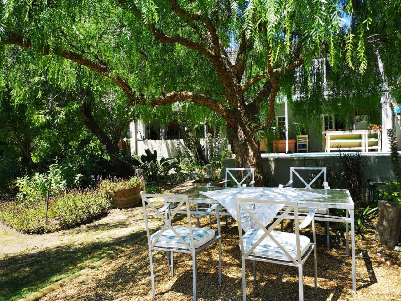 Almond Cottage Bed & Breakfast Somerset West Ngoại thất bức ảnh
