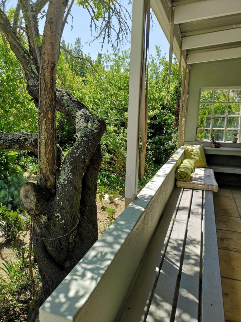 Almond Cottage Bed & Breakfast Somerset West Ngoại thất bức ảnh
