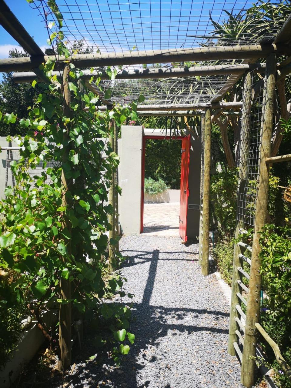 Almond Cottage Bed & Breakfast Somerset West Ngoại thất bức ảnh