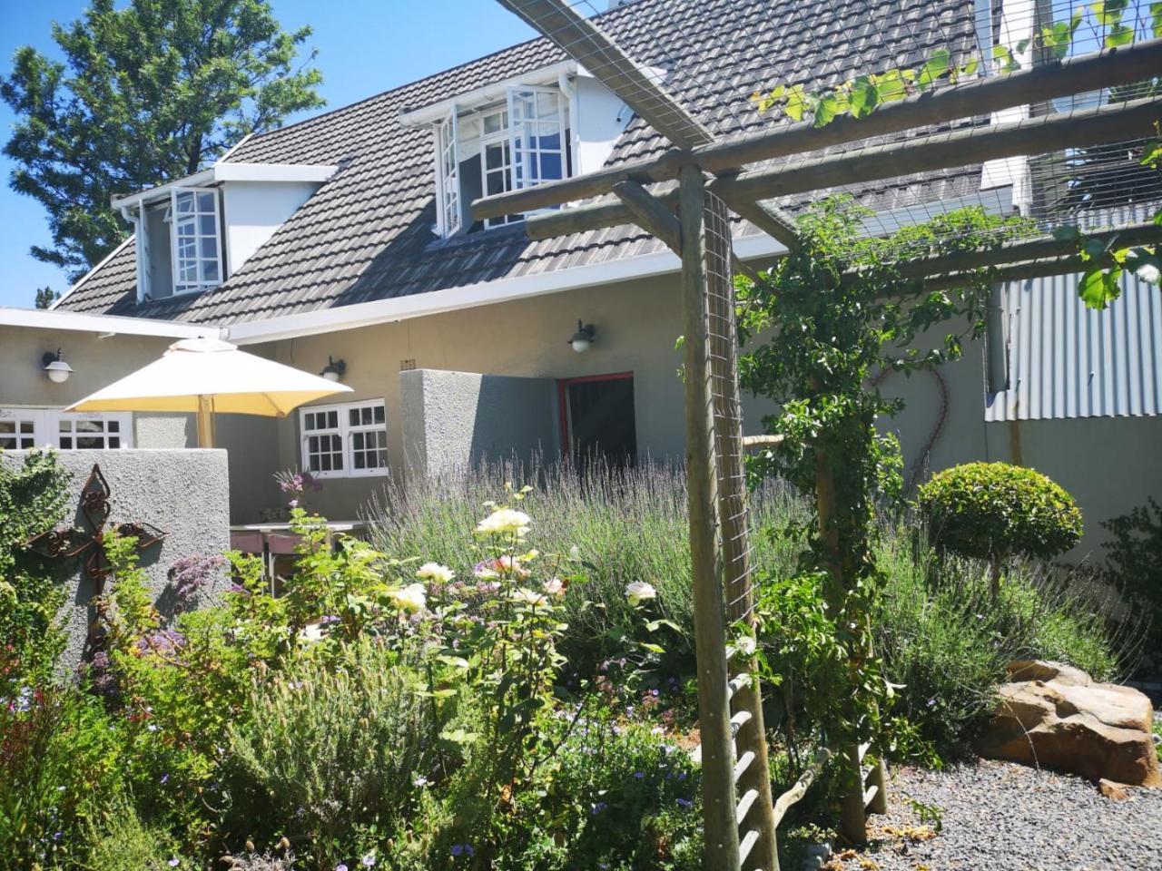 Almond Cottage Bed & Breakfast Somerset West Ngoại thất bức ảnh